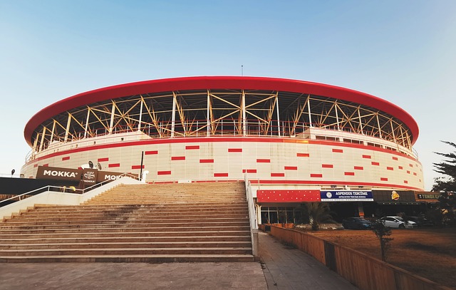 际体育界的 际体育界的